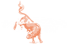 Domadores del Fuego